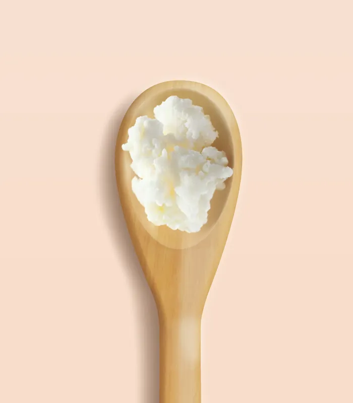 Shea Butter (Refined)